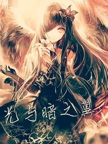 斗龙战士7之光与暗之翼
