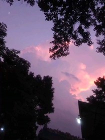 青梅暗恋