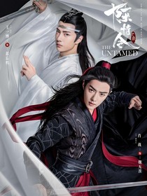 陈情令之冥王魏无羡