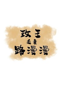 政王追妻路漫漫