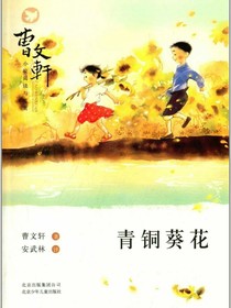 青铜葵花（续写）
