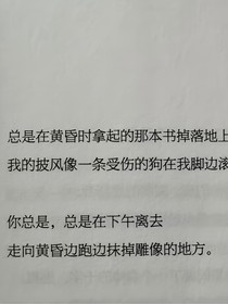 清琦