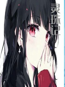 灵珠记