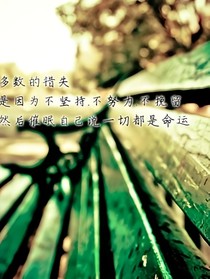 个个说好吃