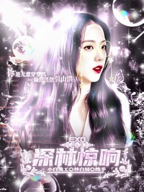 EXO：榮光不滅