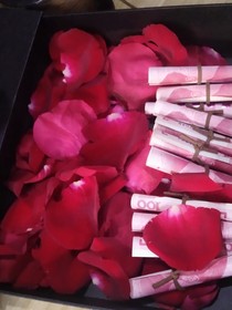 调戏鬼话