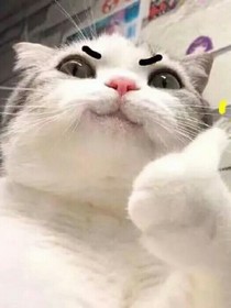 故事坊