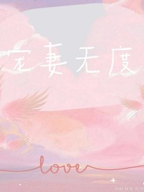 宠妻无度（1）