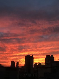 聽(tīng)雪說(shuō)我愛(ài)你