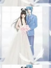 葉羅麗精靈夢之四大校草愛上我