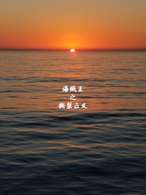 海贼王之撕裂正义