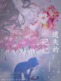 佣空—遗失的记忆