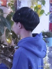 全明星：信息素時代