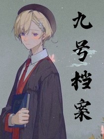 九号档案