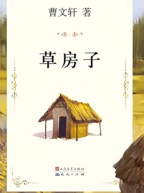 节选的草房子