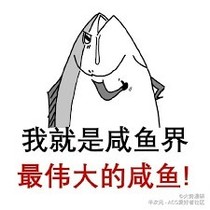 关于我的作死历险
