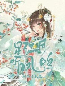 星江月……听凤鸣