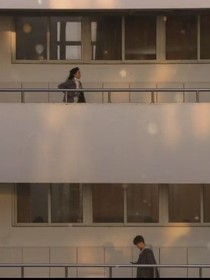 你是我這輩子和下輩子的愿望