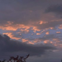 彼岸有意