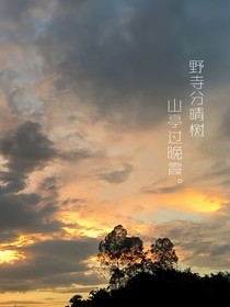 巧涩