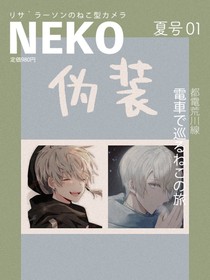 偽裝（不知道用啥名字）