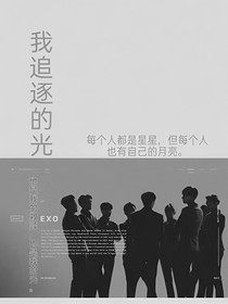 我追逐的光