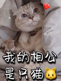 我的相公是只猫