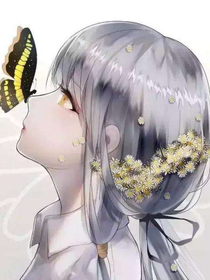 林间风缘