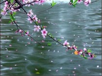 記得，那年花下