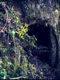荒野深山的一座古墓