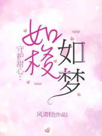 守护甜心：如梭如梦