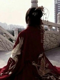 长安簪：宸王宠妻