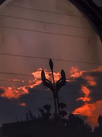 晚風(fēng)吹霧散