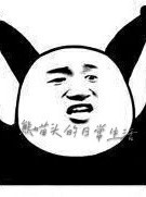熊喵头的日常生活