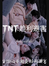 TNT：趋利避害