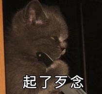 給師姐開(kāi)后宮日常：只尋良人