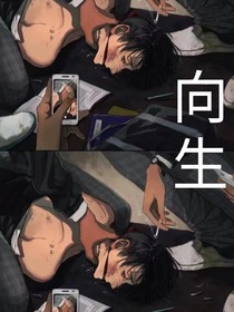 向生：向死而生-d709