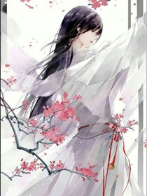 穿書(shū)之后我統(tǒng)一了天下