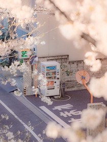 兴迪：时光荏苒，而你依旧
