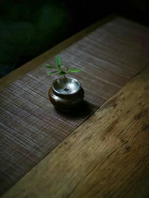 脑宁