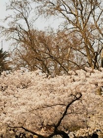 申公豹传奇
