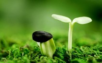 梦想第一部5