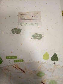 夏栀