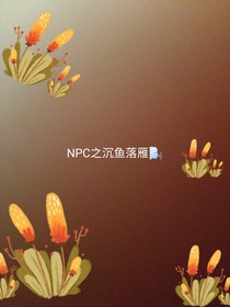 NPC之沉鱼落雁