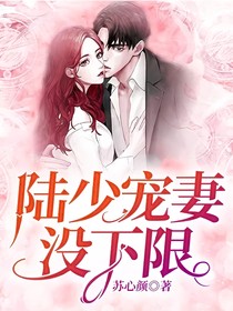 陆少宠妻没下限