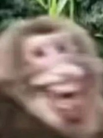 也许我不该来