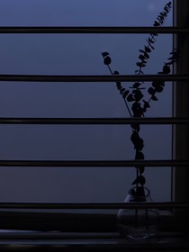 待明日，山高水长