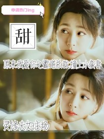 原来我爱你之总裁撞上小蛮妻