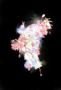 華云結(jié)