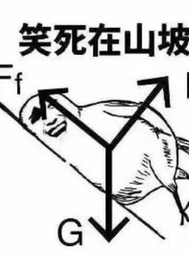 物理的快乐